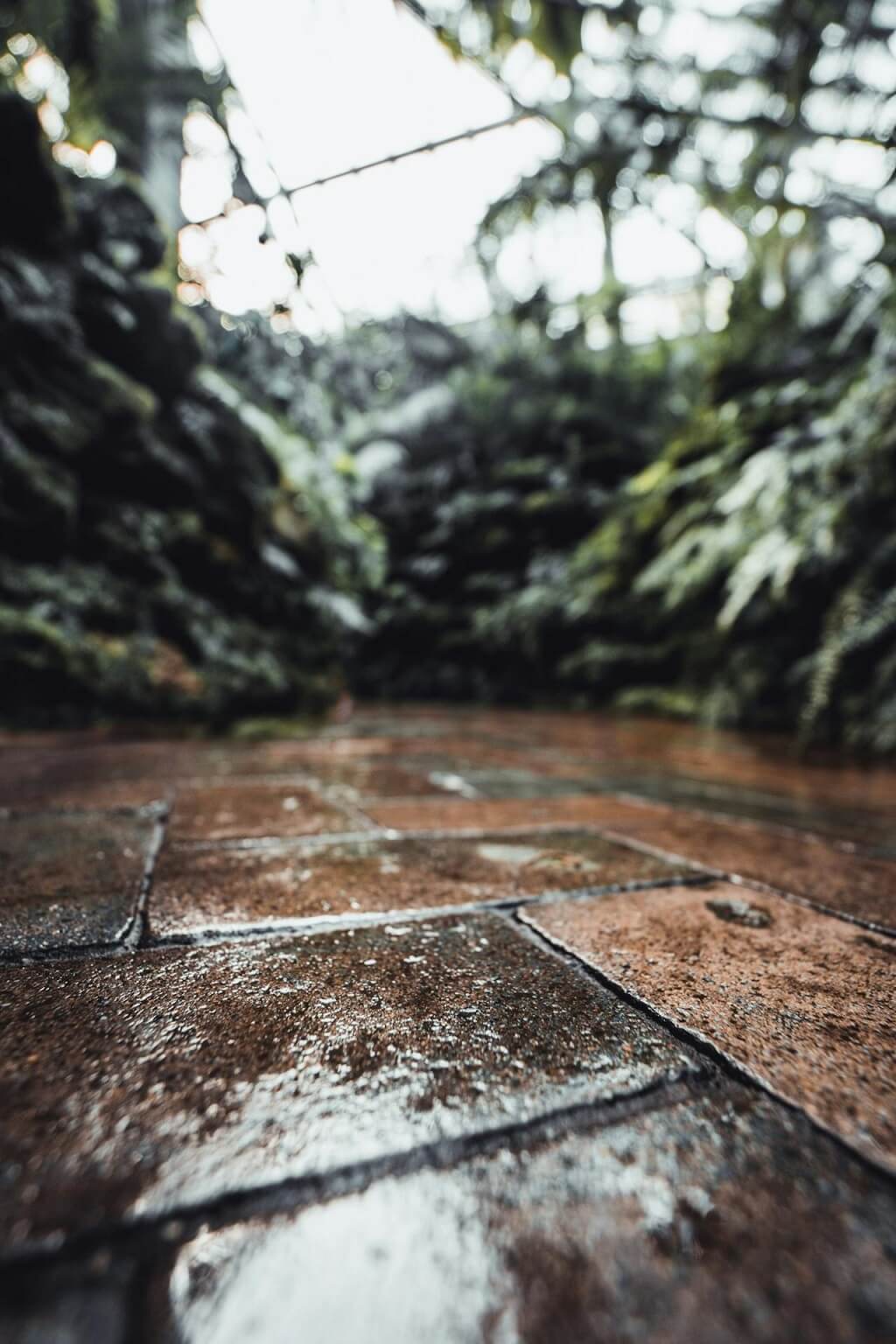 Pod od cigle pokvašen vodom